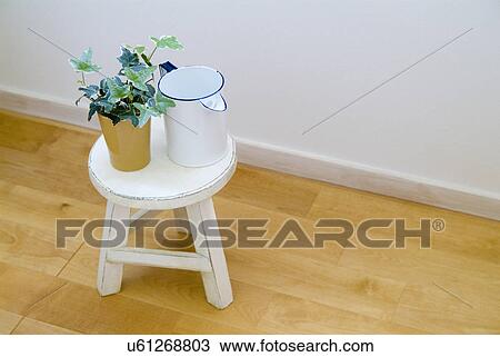 Stock Image - Ivy in pot. Fotosearch