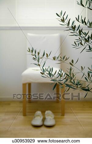 Stock Photo - Olive plant and chair. Fotosearch