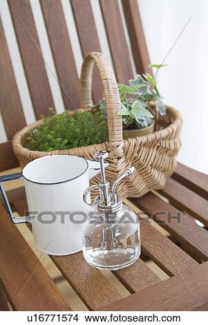Picture - Plants in basket. Fotosearch