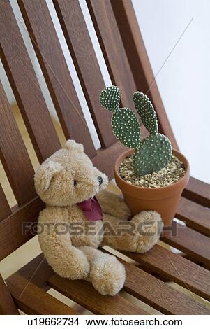 Potted cactus plant and stuffed animal on chair View Large Photo Image Picture - Potted cactus plant and stuffed animal on chair. Fotosearch