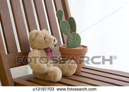 Potted cactus plant and stuffed animal on chair View Large Photo Image Stock Image - Potted cactus plant and stuffed animal on chair. Fotosearch