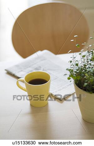 Potted plant and coffee View Large Photo Image Stock Image - Potted plant and coffee. Fotosearch