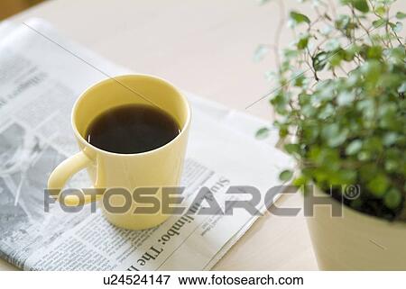Potted plant and coffee View Large Photo Image Stock Photo - Potted plant and coffee. Fotosearch