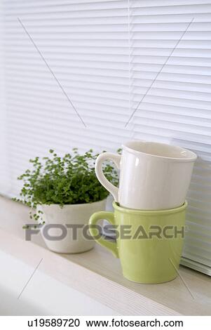 Potted plant and mugs View Large Photo Image Stock Image - Potted plant and mugs. Fotosearch