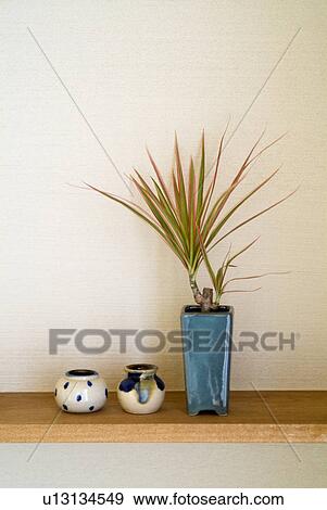 Potted plant and pottery View Large Photo Image Stock Photo - Potted plant and pottery. Fotosearch