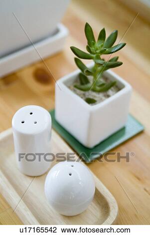 Stock Image - Potted plant and salt and pepper. Fotosearch