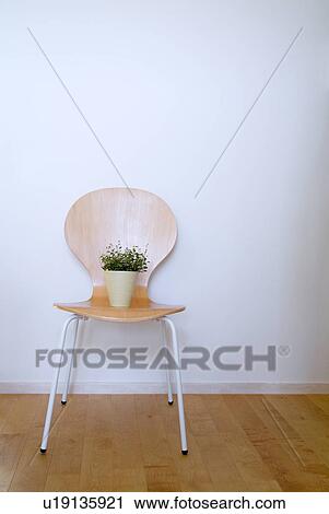 Potted plant on chair View Large Photo Image Stock Image - Potted plant on chair. Fotosearch