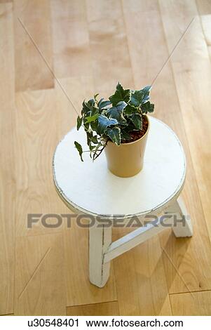 Potted plant on stool View Large Photo Image Stock Image - Potted plant on stool. Fotosearch