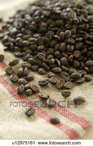 Coffee Beans View Large Photo Image Stock Image - Coffee Beans. Fotosearch