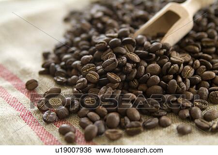 Stock Photograph - Coffee Beans. Fotosearch