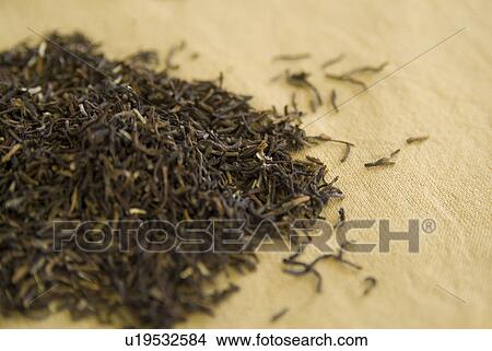 Tea leaves View Large Photo Image Picture - Tea leaves. Fotosearch