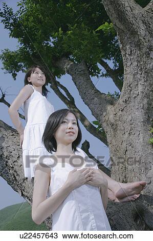 Stock Image - A young woman standing in a tree with a friend standing in front. Fotosearch