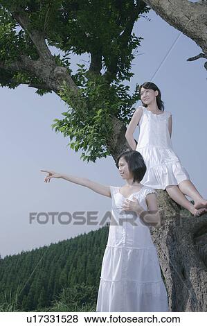 Stock Photo - A young woman standing in a tree with a friend standing in front. Fotosearch