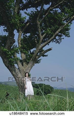 A young woman standing under tree View Large Photo Image Stock Photography - A young woman standing under tree. Fotosearch