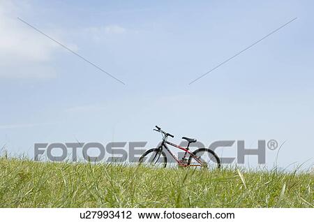 Mountain bike on field View Large Photo Image Stock Image - Mountain bike on field. Fotosearch