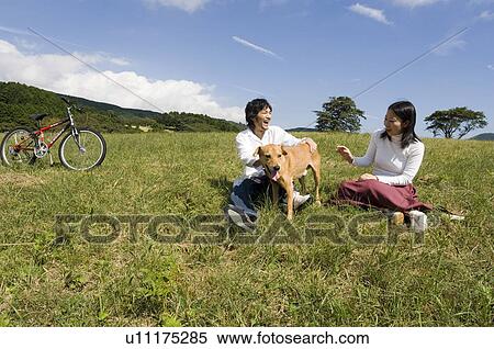 Young couple playing with dog View Large Photo Image Stock Photography - Young couple playing with dog. Fotosearch