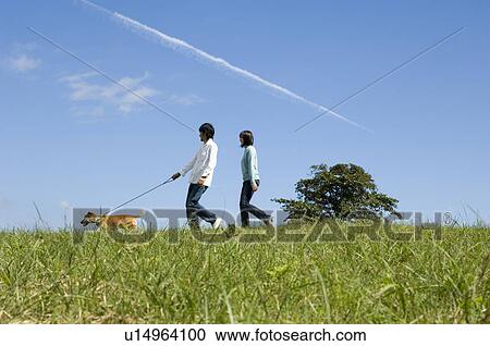Young couple walking dog View Large Photo Image Stock Image - Young couple walking dog. Fotosearch