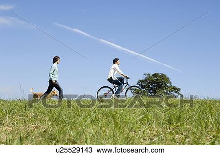 Young woman walking dog behind young man riding bicycle View Large Photo Image Stock Image - Young woman walking dog behind young man riding bicycle. Fotosearch