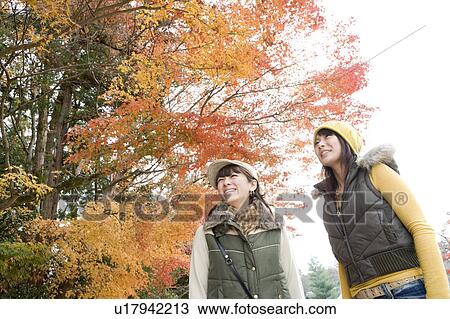 Stock Image - Two young women looking at red maple leaves, Kamigamo Shrine, Kyoto Prefecture, Japan. Fotosearch