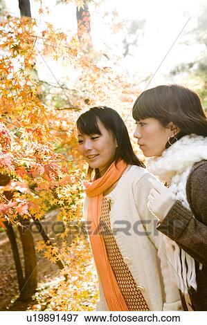 Stock Photo - Two young women looking at red maple leaves. Fotosearch
