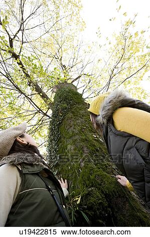 Stock Photography - Two young women looking at tree at Kamigamo Shrine in Kyoto Prefecture Japan. Fotosearch
