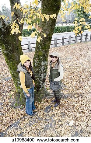 Stock Image - Two young women talking under tree, Kamigamo Shrine, Kyoto Prefecture, Japan. Fotosearch