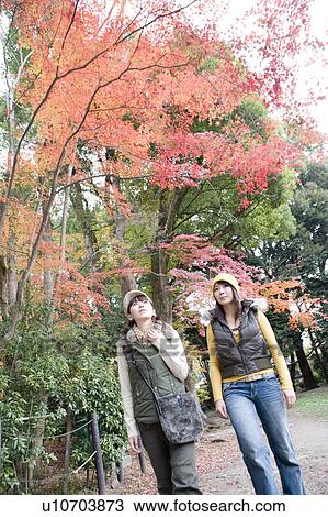 Two young women walking, Kamigamo Shrine, Kyoto Prefecture, Japan View Large Photo Image Stock Image - Two young women walking, Kamigamo Shrine, Kyoto Prefecture, Japan. Fotosearch