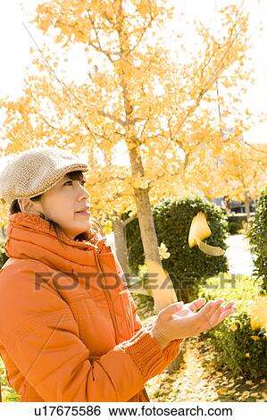 Young woman catching falling leaves View Large Photo Image Stock Photograph - Young woman catching falling leaves. Fotosearch