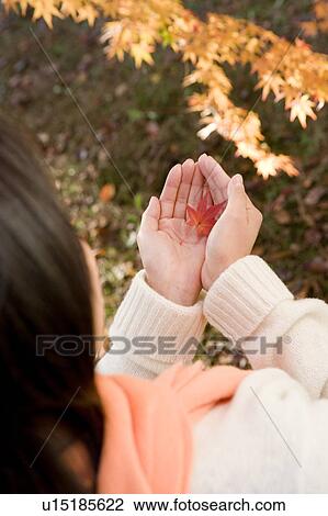 Young woman holding maple leaf View Large Photo Image Stock Image - Young woman holding maple leaf. Fotosearch