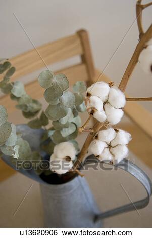 Stock Photograph - Dried plants. Fotosearch