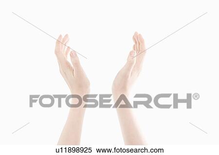 Woman's hands View Large Photo Image Stock Photography - Woman's hands. Fotosearch