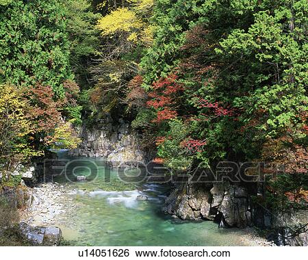A river amidst colorful trees View Large Photo Image Stock Photograph - A river amidst colorful trees. Fotosearch