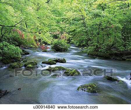 A river is seen flowing through rocks and trees View Large Photo Image Stock Image - A river is seen flowing through rocks and trees. Fotosearch