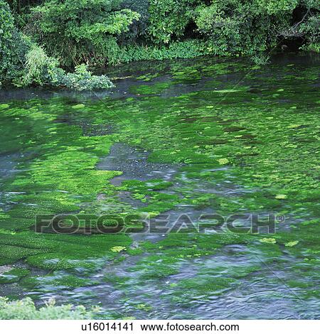 Stock Image - Clear water flowing in river. Fotosearch
