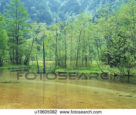 Clear water flowing in river View Large Photo Image Stock Image - Clear water flowing in river. Fotosearch