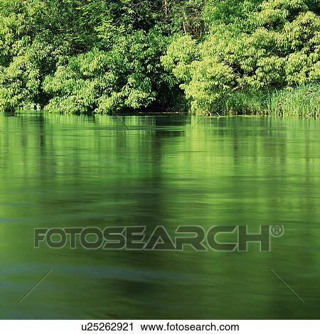 Trees reflected on surface of water View Large Photo Image Stock Image - Trees reflected on surface of water. Fotosearch