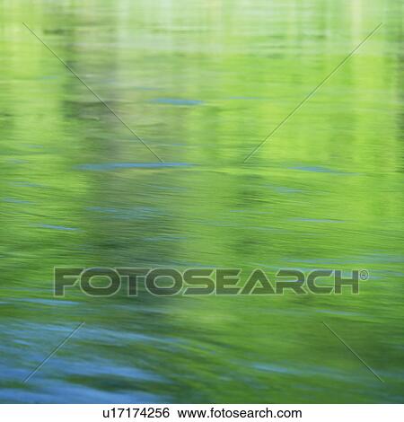 Stock Photograph - Trees reflected on surface of water. Fotosearch