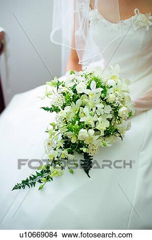 A bride holding a bouquet View Large Photo Image Picture - A bride holding a bouquet. Fotosearch