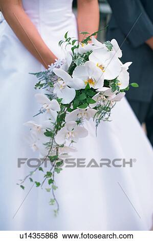 A bride holding a bouquet View Large Photo Image Stock Photo - A bride holding a bouquet. Fotosearch