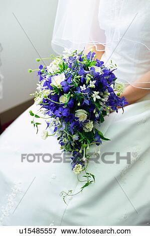 A bride holding a bouquet View Large Photo Image Stock Photo - A bride holding a bouquet. Fotosearch