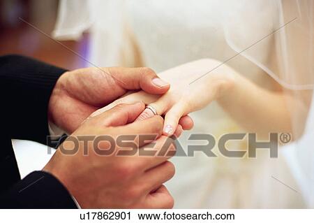 Groom placing wedding ring on bride's finger View Large Photo Image Stock Image - Groom placing wedding ring on bride's finger . Fotosearch