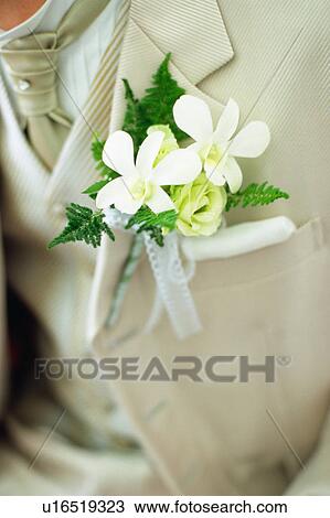 Stock Image - Midsection of a groom. Fotosearch