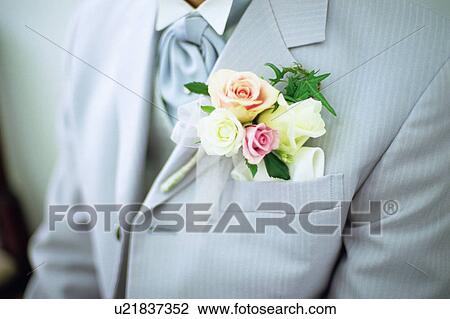 Midsection of a groom View Large Photo Image Stock Image - Midsection of a groom. Fotosearch