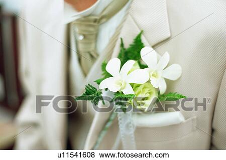 Midsection of a groom View Large Photo Image Stock Photo - Midsection of a groom. Fotosearch