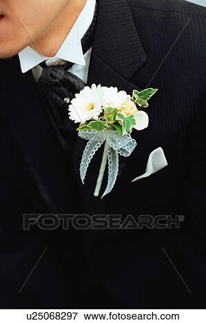 Stock Photo - Midsection of a groom. Fotosearch
