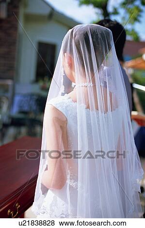 Rear view of bride and groom View Large Photo Image Stock Photo - Rear view of bride and groom. Fotosearch