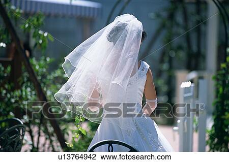 Stock Image - Rear view of bride. Fotosearch