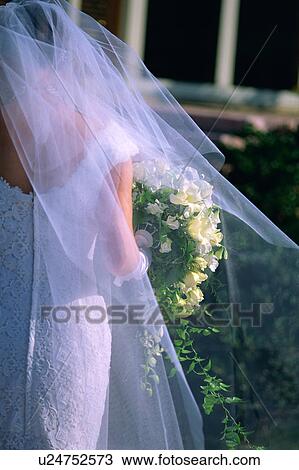 Stock Image - Rear view of bride. Fotosearch