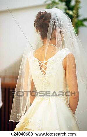 Stock Photo - Rear view of bride. Fotosearch
