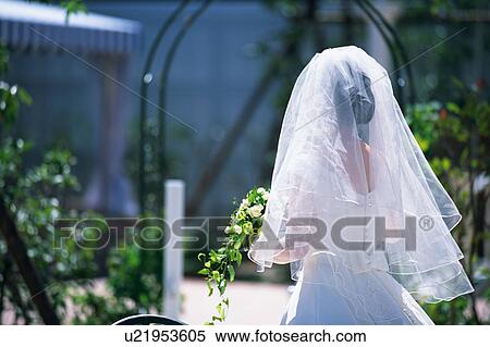 Rear view of bride View Large Photo Image Stock Photography - Rear view of bride. Fotosearch